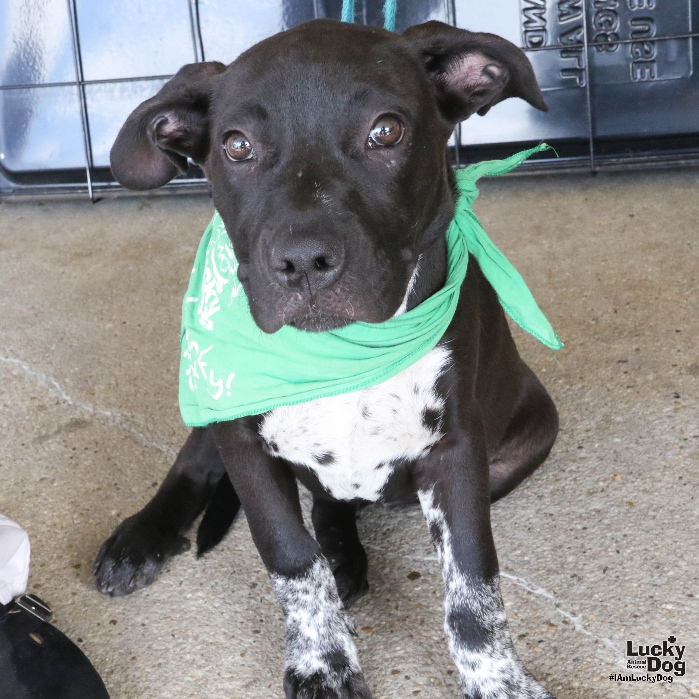 Tina Sue
