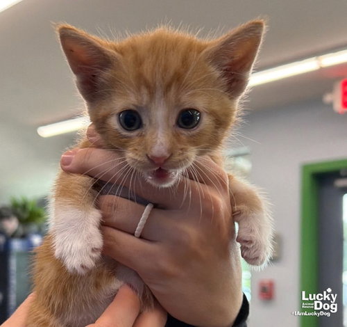 Cliff, photo 4
