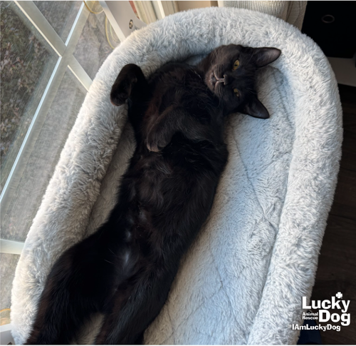 Ernie, photo 3