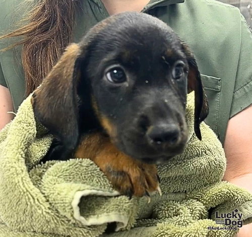Photo 3 of Ernest