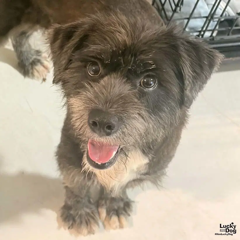 Fiona image 2