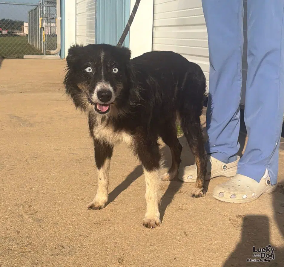 Tilly image 3