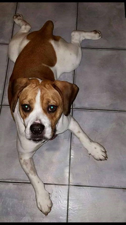 Benny