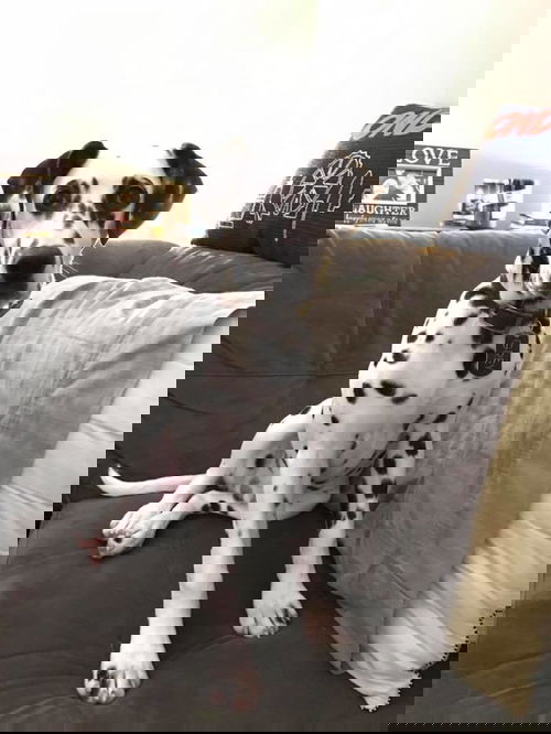 Pike