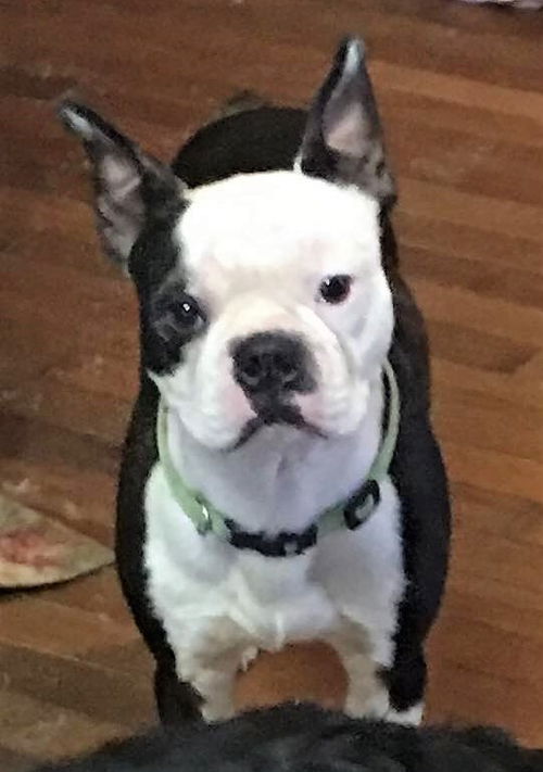 Bob