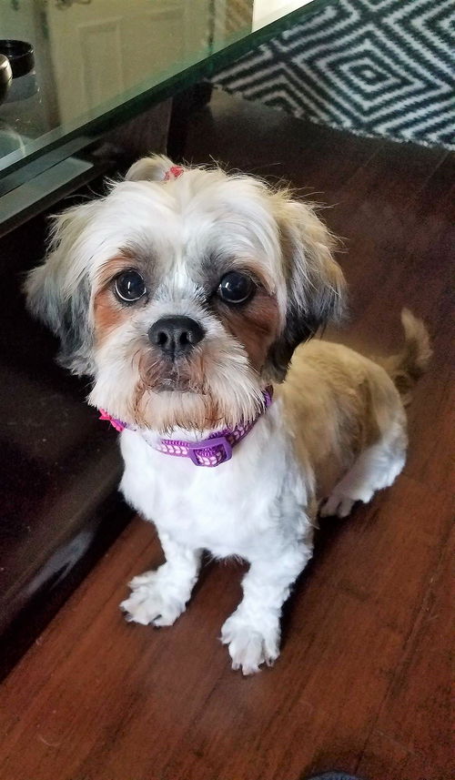 Bella