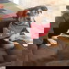 Drifter