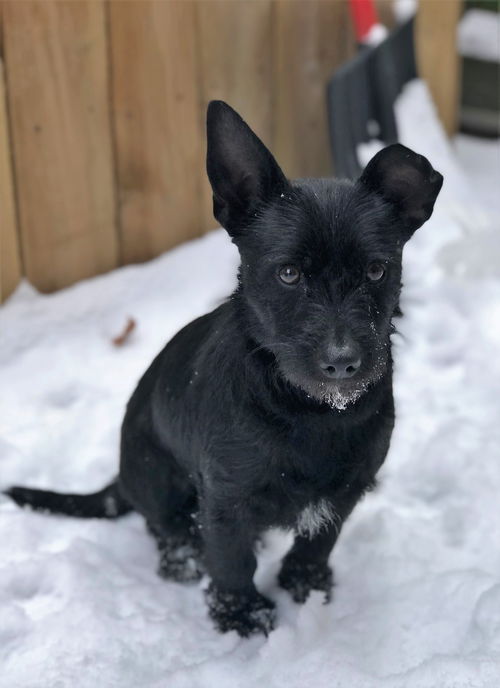 Miss Frankie Lynn