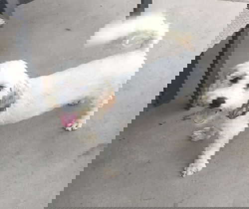 EZ