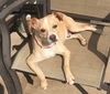 Shiloh