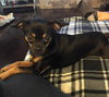Buster