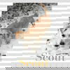 Scout