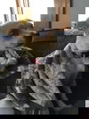 Kiki