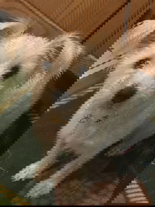 Sugar