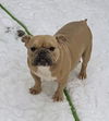 Lola