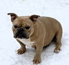Lola