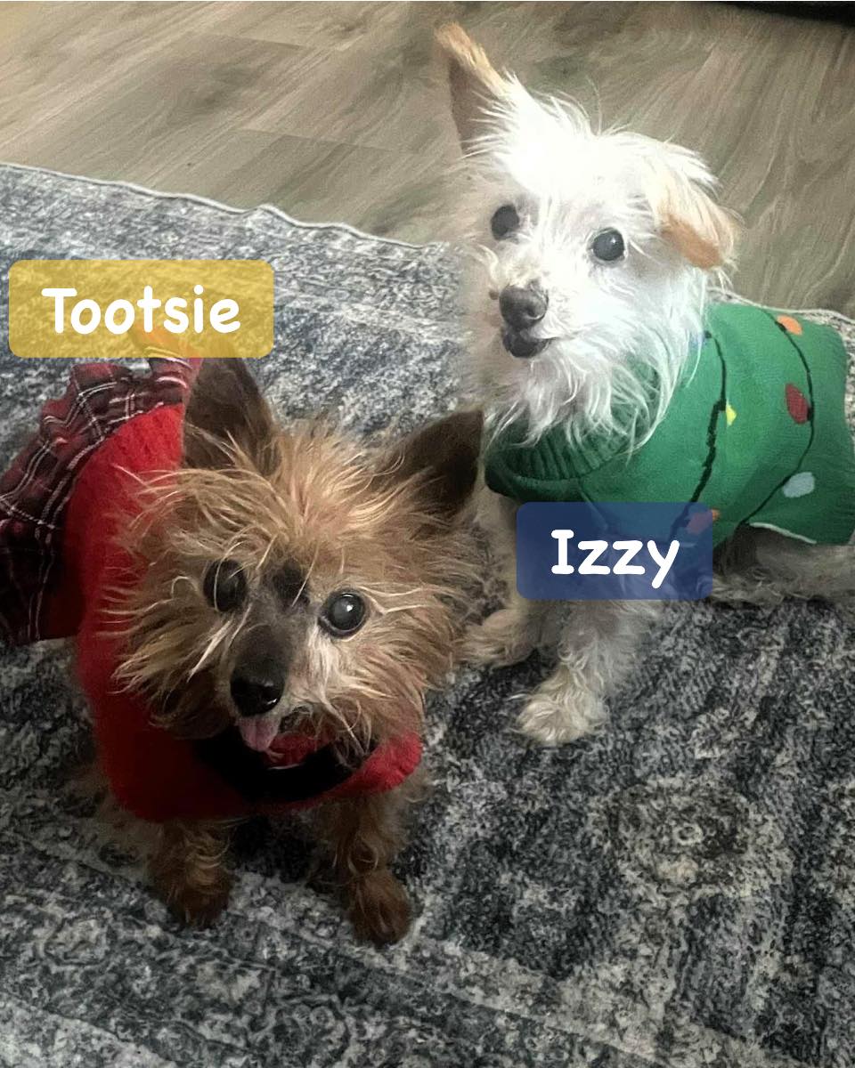 Tootsie & Izzy