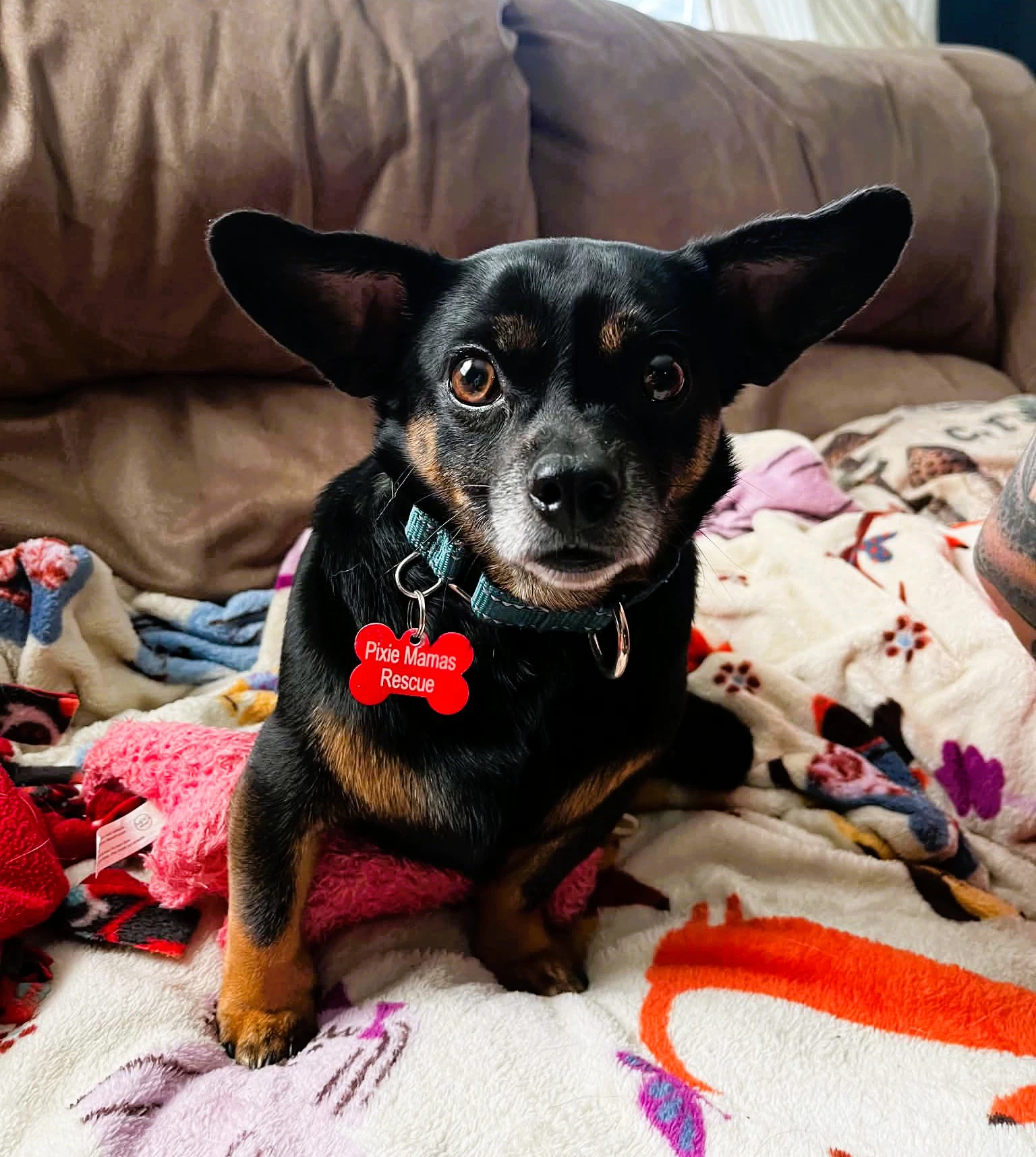 Roscoe