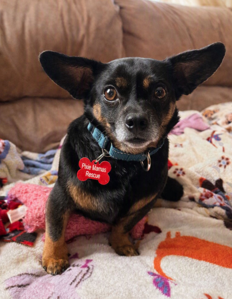 Roscoe, Chihuahua