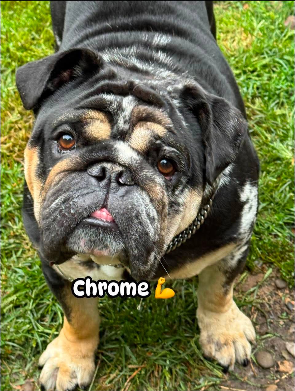 Chrome