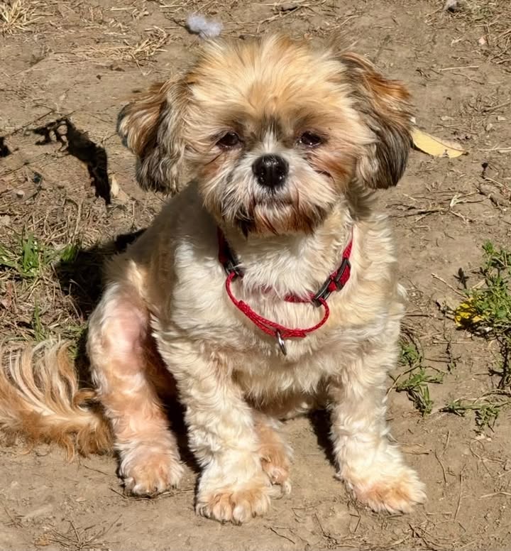 Rita