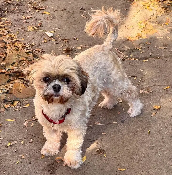 Rita image 2