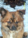 Artie
