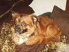 Artie
