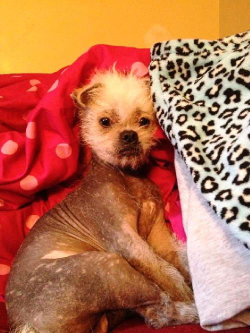 Spanky