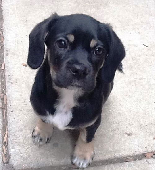 Murphy