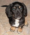 Murphy