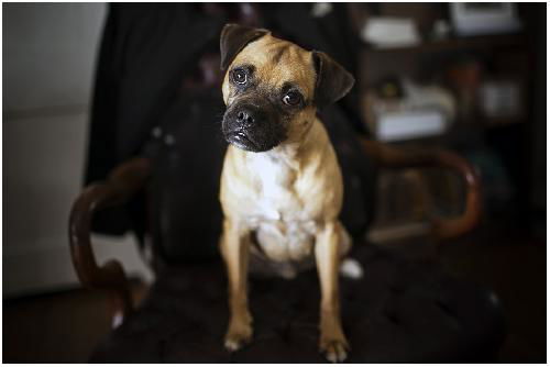 Dougie