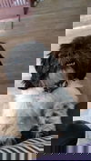 MJ