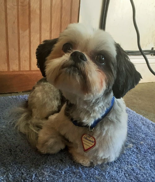 Benny
