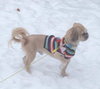 Howie