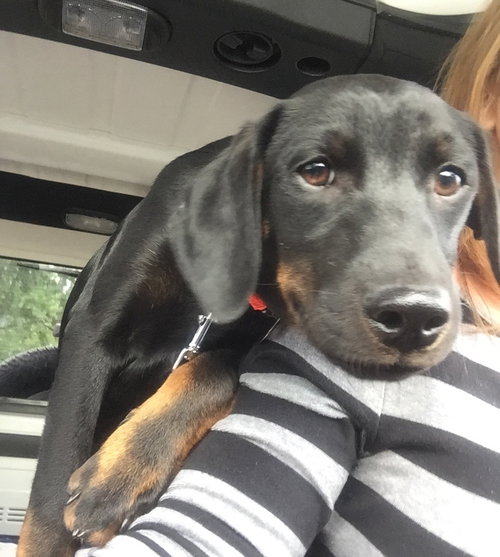 Higgins - ADOPTED 06.21.16
