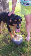 Franklin-FP ADOPTED 08.24.16