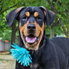 Franklin-FP ADOPTED 08.24.16