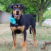 Franklin-FP ADOPTED 08.24.16
