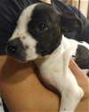 Sq Litter Monte - ADOPTED 12.05.16