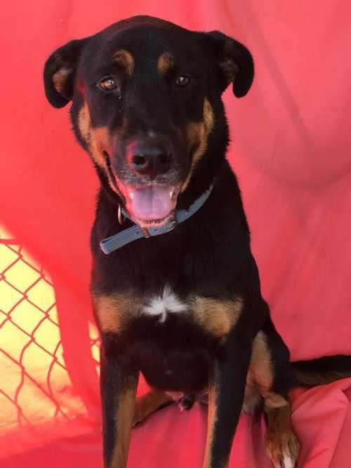 Breslin - ADOPTED 02.17.17