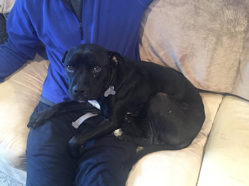 Brookszy - ADOPTED 12.18.16