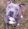 Birdie (BC) - ADOPTED 11.25.18