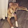 Torque - ADOPTED 02.27.17