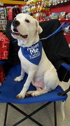 Bruticus - ADOPTED 04.02.17