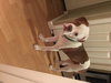 Zq Litter - Doggo - ADOPTED 03.25.17