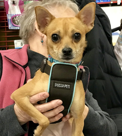 April - ADOPTED 04.10.17