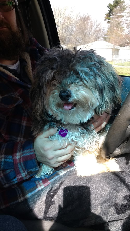 Swifter - ADOPTED 03.20.17