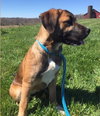 Dr Litter Anastasia - ADOPTED 04.25.17