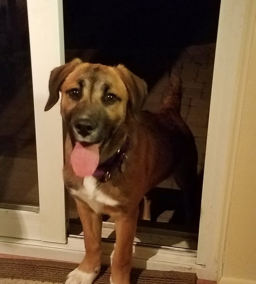Dr Litter Anastasia - ADOPTED 04.25.17
